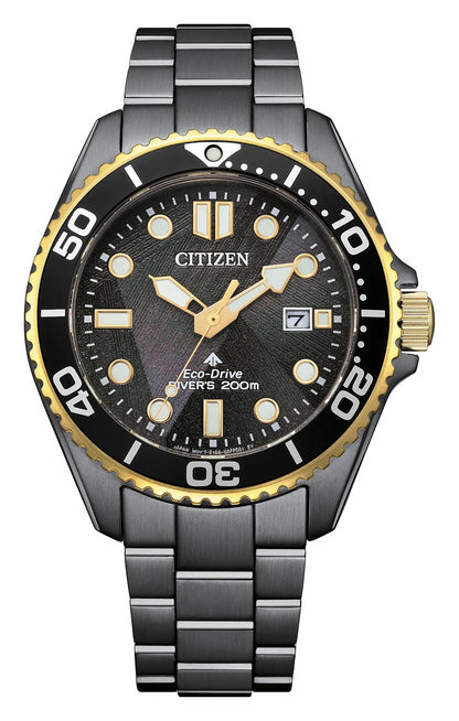 Promaster Dive LIGHT in BLACK Black Dial Stainless Steel Bracelet BN0264-53E