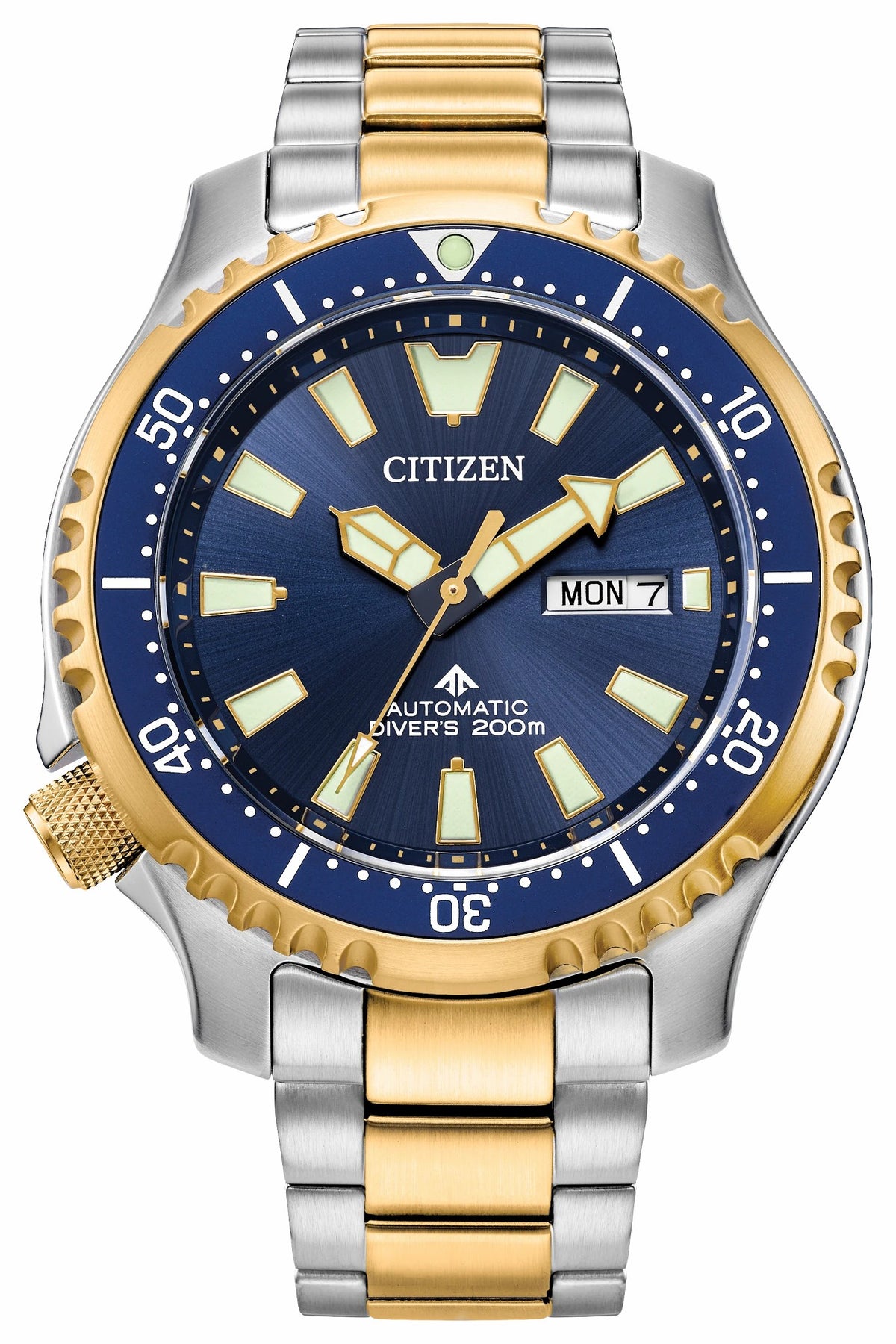 Promaster Dive Automatic Blue Dial Stainless Steel Bracelet NY0154-51L