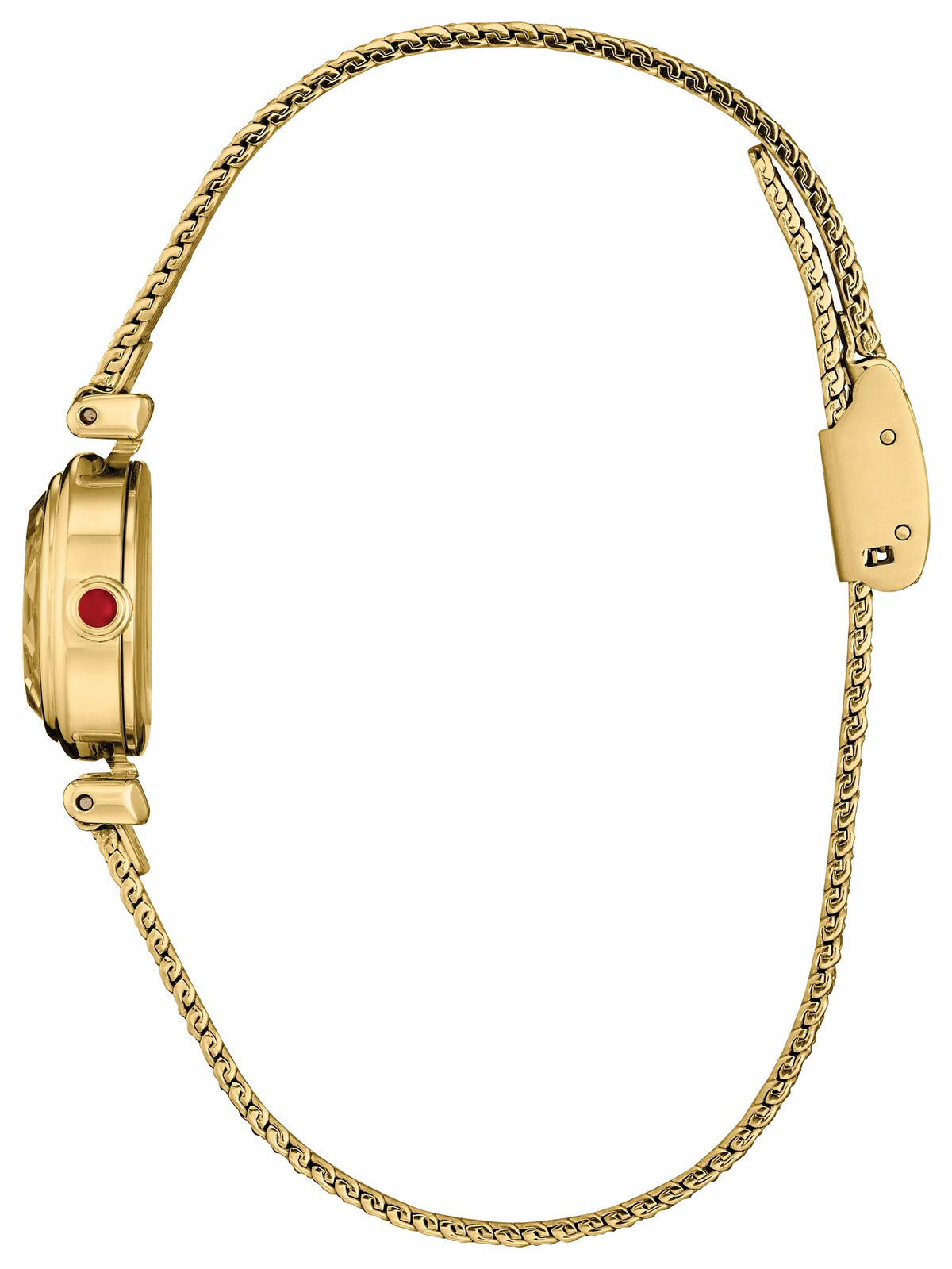 Fio Gold-Tone Dial Stainless Steel Bracelet EG7086-57P