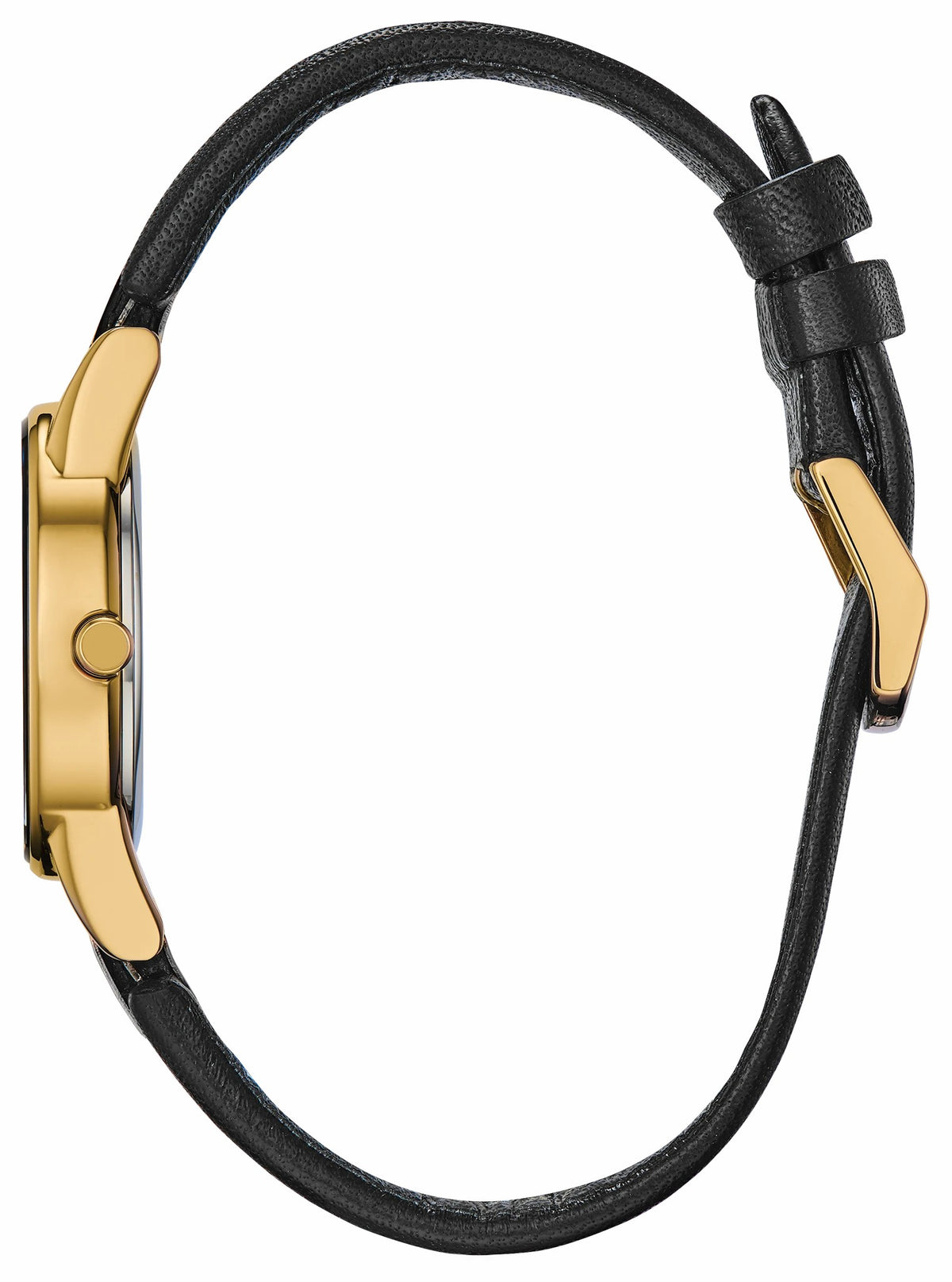 Citizen Axiom Ladies Eco-Drive Gold Black Dial Watch